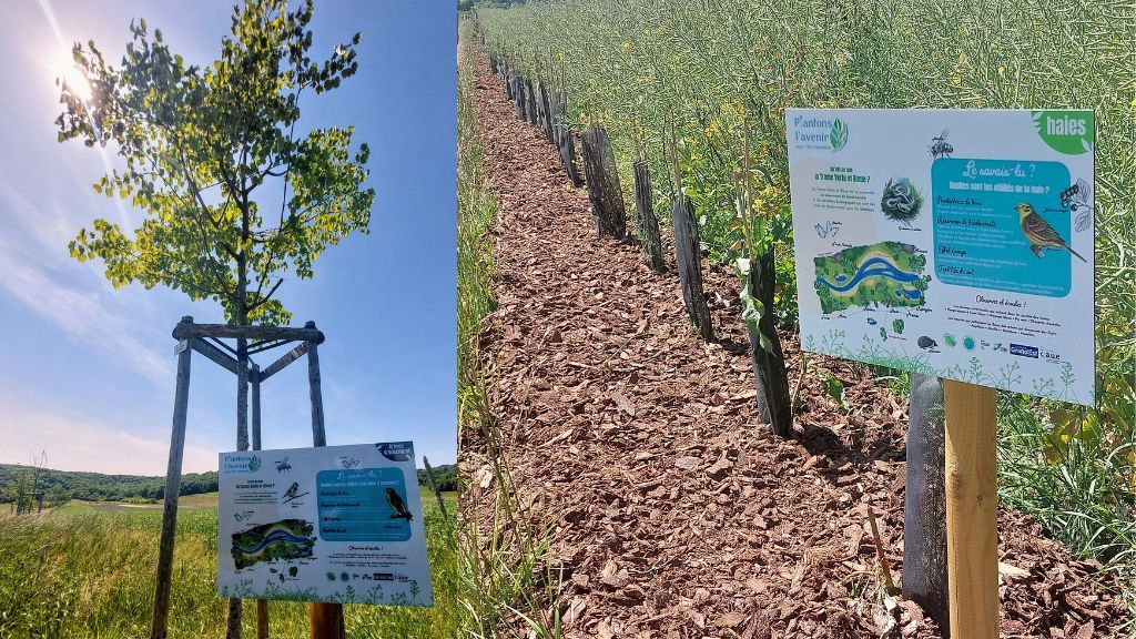 Trame Verte et Bleue à Oudrenne