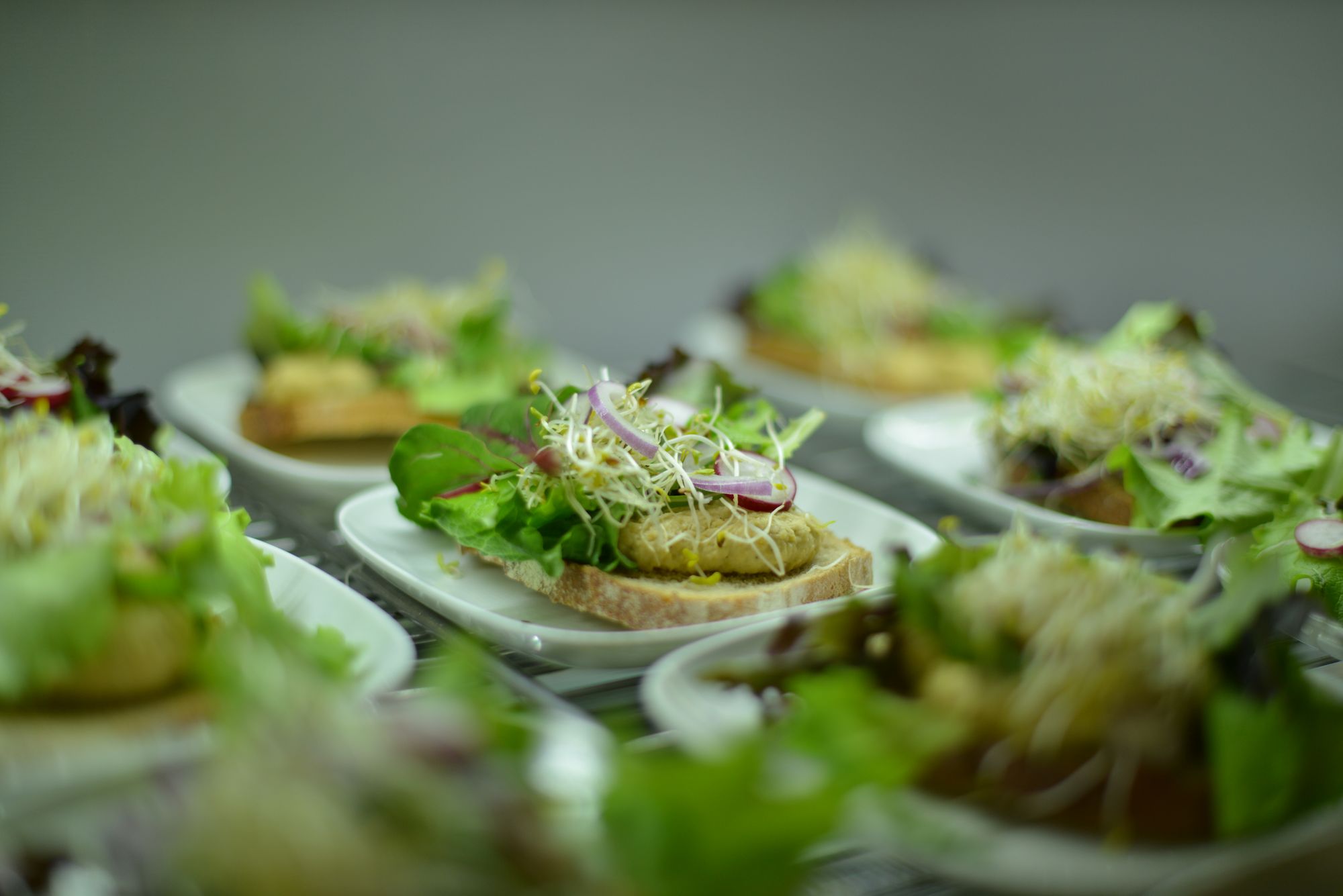 Tartine de Houmous bio - lycée Charlemagne Thionville