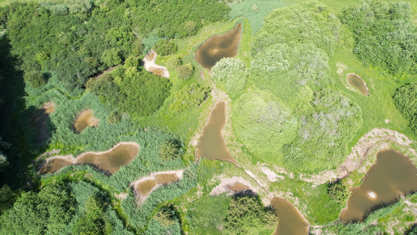 vue aérienne de la zone humide de Chémery-les-Deux en Moselle